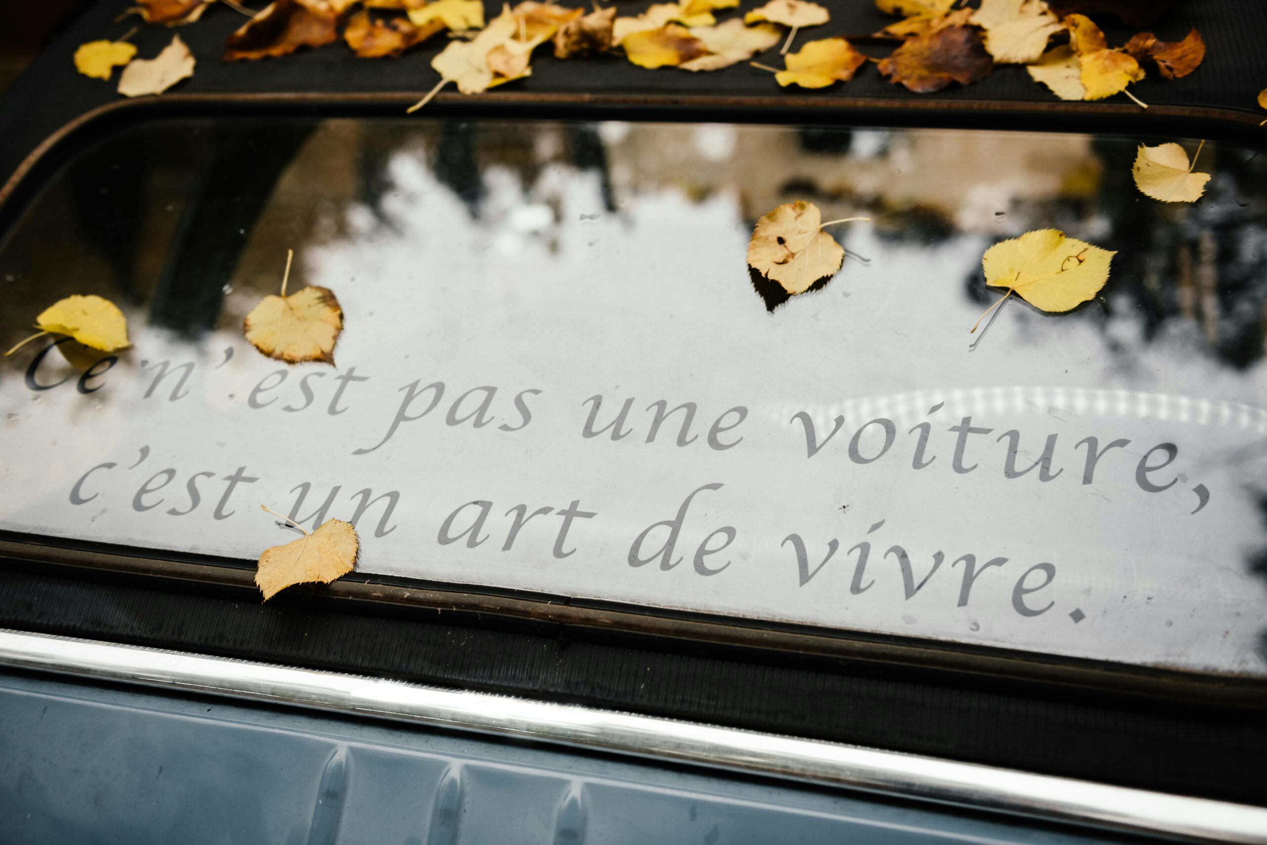 poetic seasons nature quotes verses