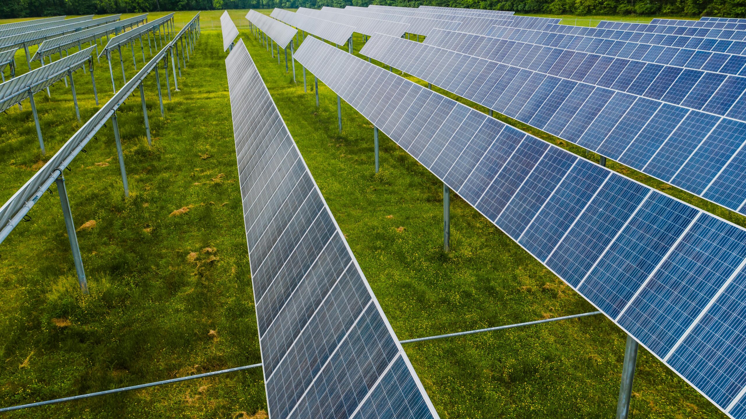 renewable energy solar wind power sustainability