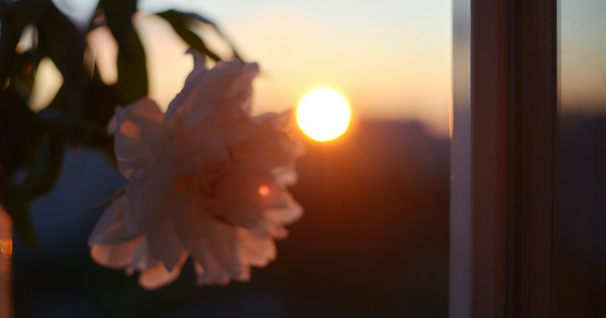 111 Frasi buon giorno per il mio fidanzato