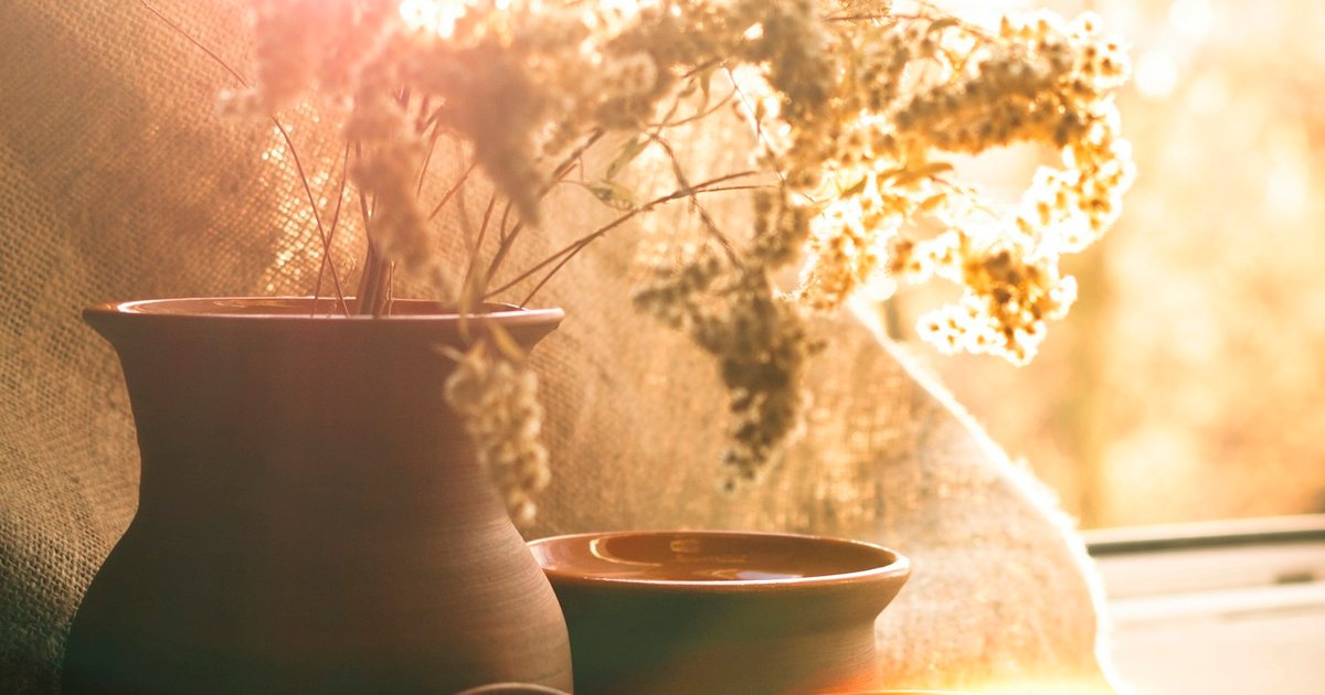 111 Buon giorno e buona domenica in allegria