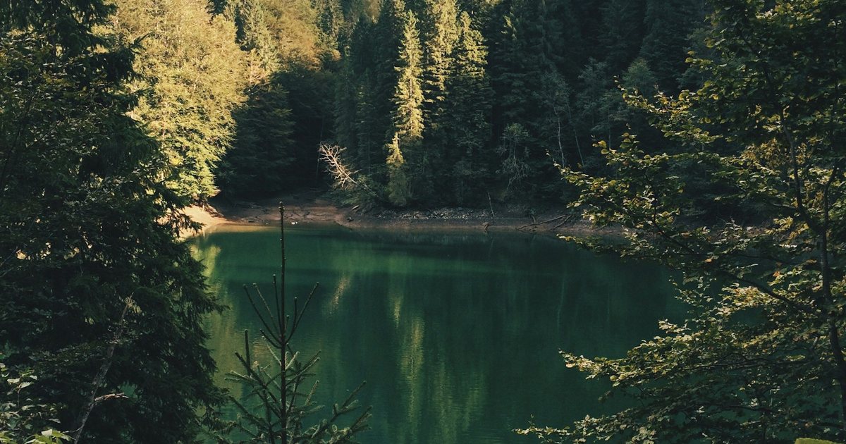 113 Frasi significative sulla felicità quotidiana