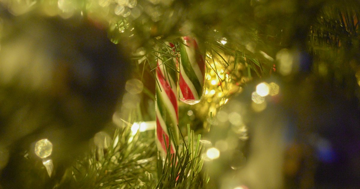 117 Frasi Natale auguri formali (Con immagini)