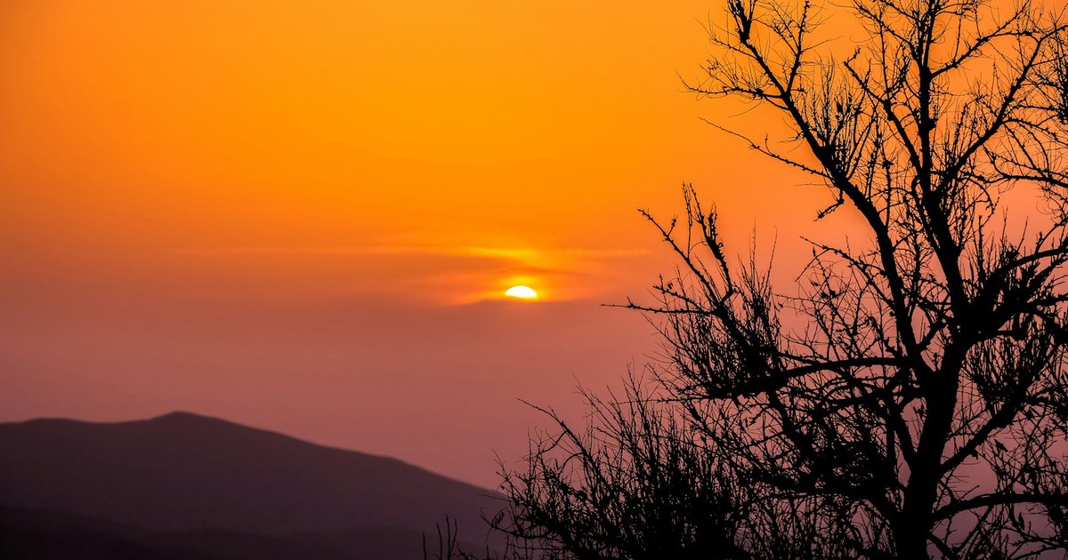 117 Frasi per Instagram sotto foto (Con immagini)