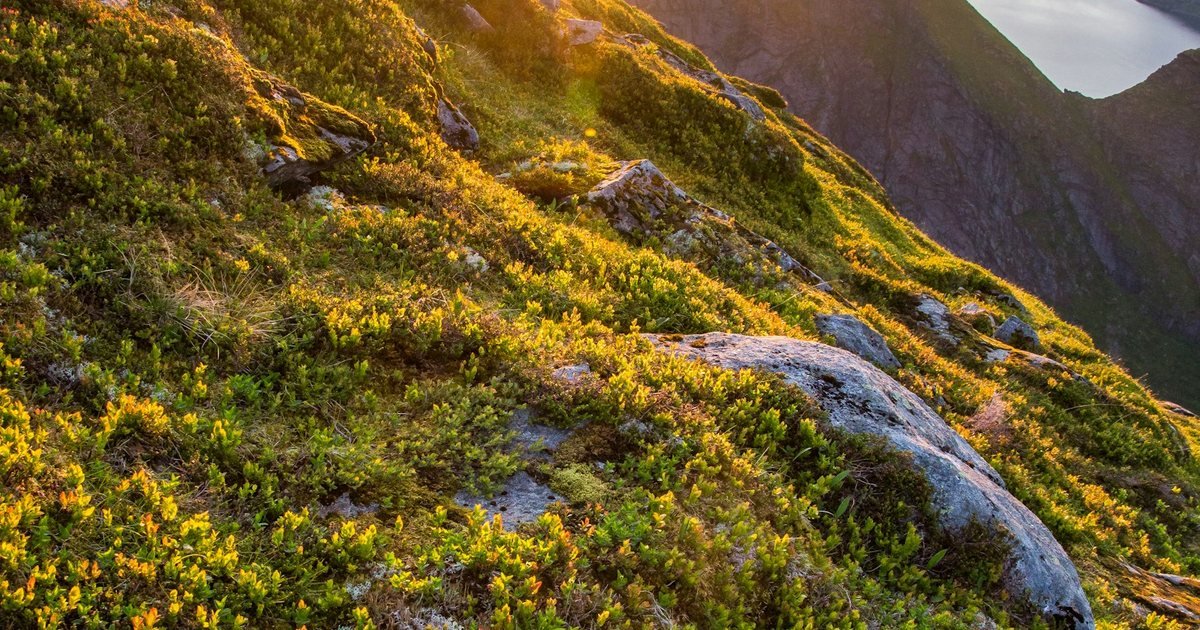 120 Citazioni sul Coraggio e la Determinazione