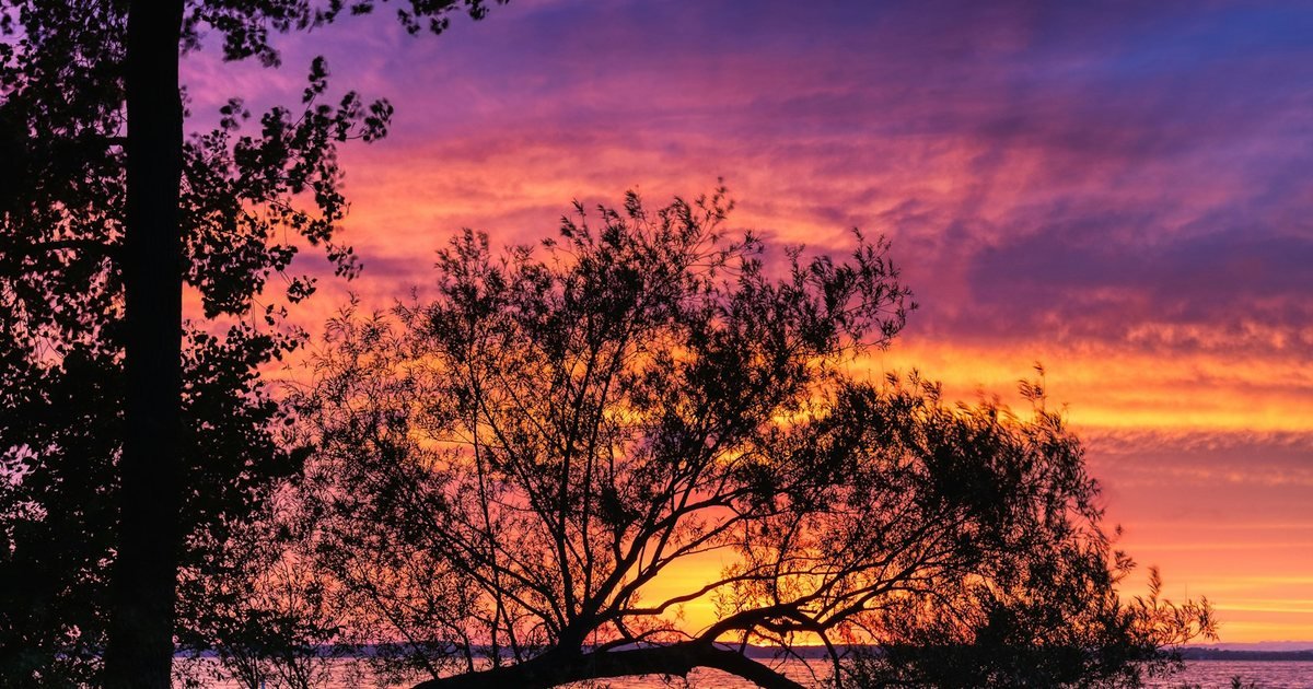 120 Frasi per Iniziare la Giornata con Energia